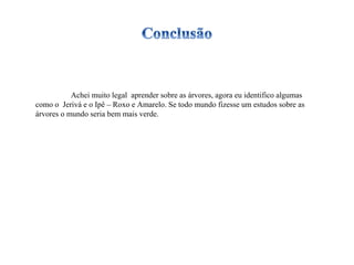 Achei muito legal  aprender sobre as árvores, agora eu identifico algumas como o  Jerivá e o Ipê – Roxo e Amarelo. Se todo mundo fizesse um estudos sobre as árvores o mundo seria bem mais verde. 