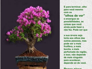 E para terminar, olhe
para você mesmo
com os
"olhos de ver"
e enxergue as
possibilidades, as
coisas que você
ainda pode fazer e
não fez. Pode ser que
a sua árvore seja
torta aos olhos das
outras pessoas, mas
pode ser a mais
frutífera, a mais
bonita, a mais
perfumada da região,
e isso, não depende
de mais ninguém
para acontecer,
depende só de você.
 