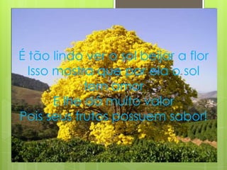 É tão lindo ver o sol beijar a flor
  Isso mostra que por ela o sol
             tem amor
       E lhe dá muito valor
Pois seus frutos possuem sabor!
 