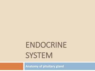 Anatomy of pituitary gland
ENDOCRINE
SYSTEM
 