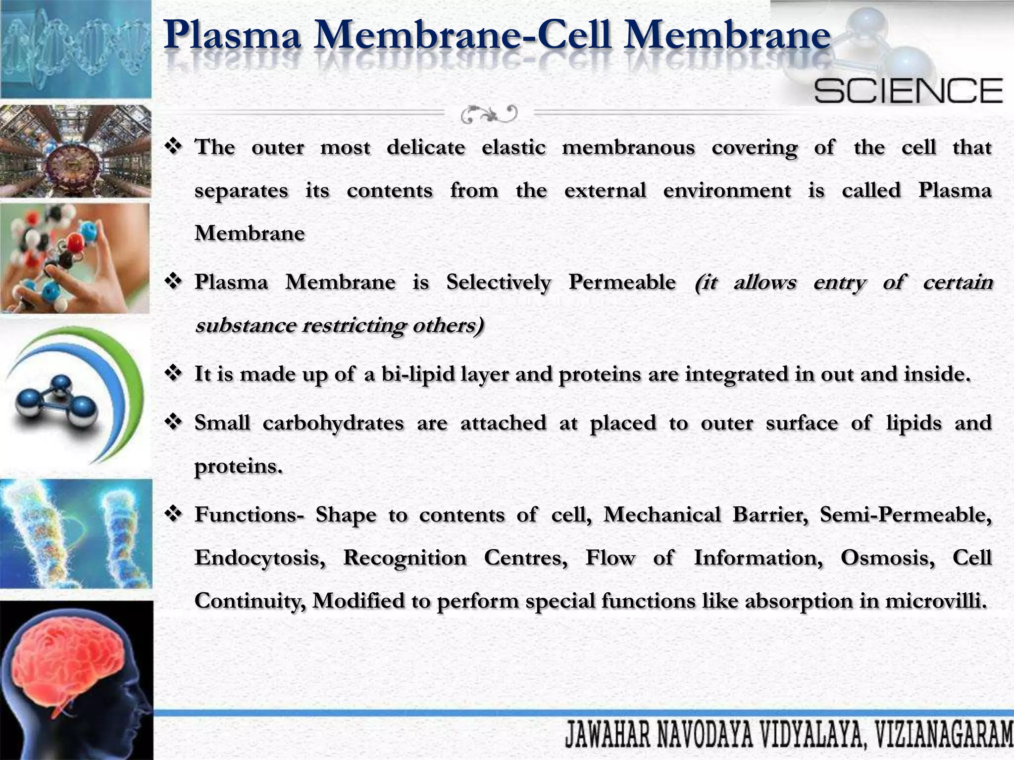 Plasma Membrane-Cell Membrane
 The outer most delicate elastic membranous covering of the cell that
separates its contents from the external environment is called Plasma
Membrane
 Plasma Membrane is Selectively Permeable (it allows entry of certain

substance restricting others)
 It is made up of a bi-lipid layer and proteins are integrated in out and inside.
 Small carbohydrates are attached at placed to outer surface of lipids and

proteins.
 Functions- Shape to contents of cell, Mechanical Barrier, Semi-Permeable,
Endocytosis, Recognition Centres, Flow of Information, Osmosis, Cell
Continuity, Modified to perform special functions like absorption in microvilli.

 