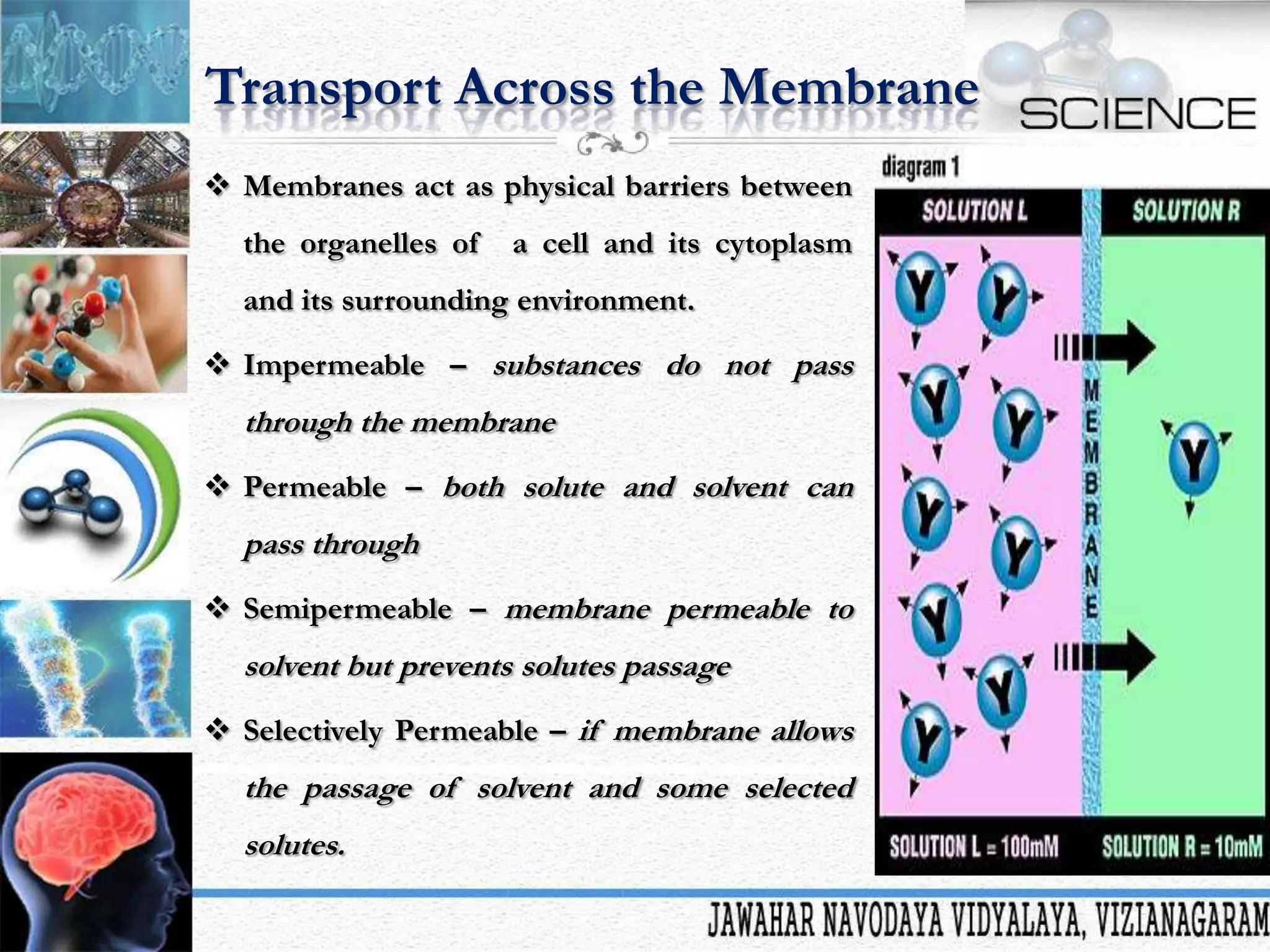 Transport Across the Membrane
 Membranes act as physical barriers between
the organelles of

a cell and its cytoplasm

and its surrounding environment.

 Impermeable – substances do not pass

through the membrane
 Permeable – both solute and solvent can

pass through
 Semipermeable – membrane permeable to

solvent but prevents solutes passage
 Selectively Permeable – if membrane allows

the passage of solvent and some selected
solutes.

 
