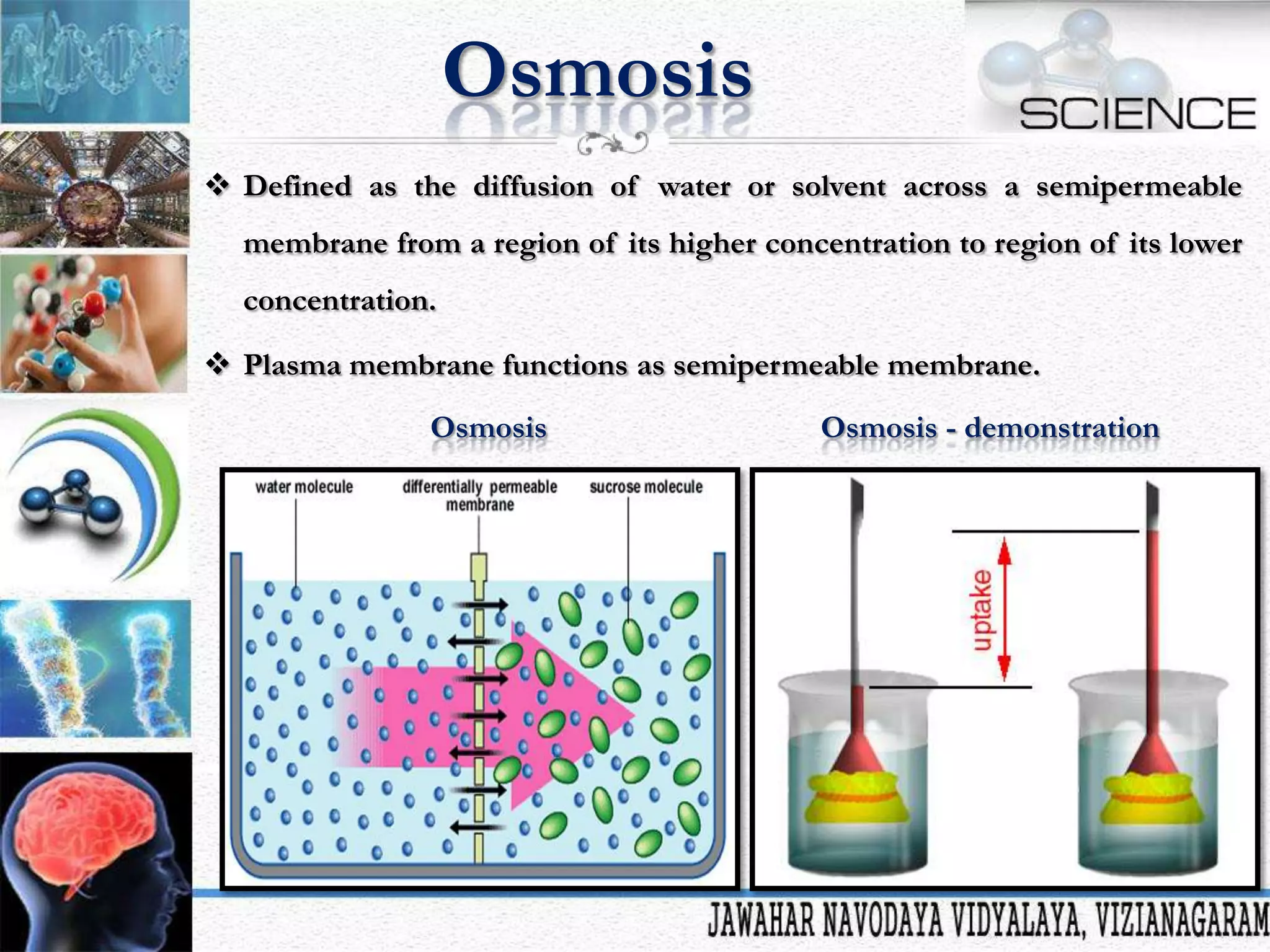 Osmosis
 Defined as the diffusion of water or solvent across a semipermeable
membrane from a region of its higher concentration to region of its lower
concentration.

 Plasma membrane functions as semipermeable membrane.
Osmosis

Osmosis - demonstration

 