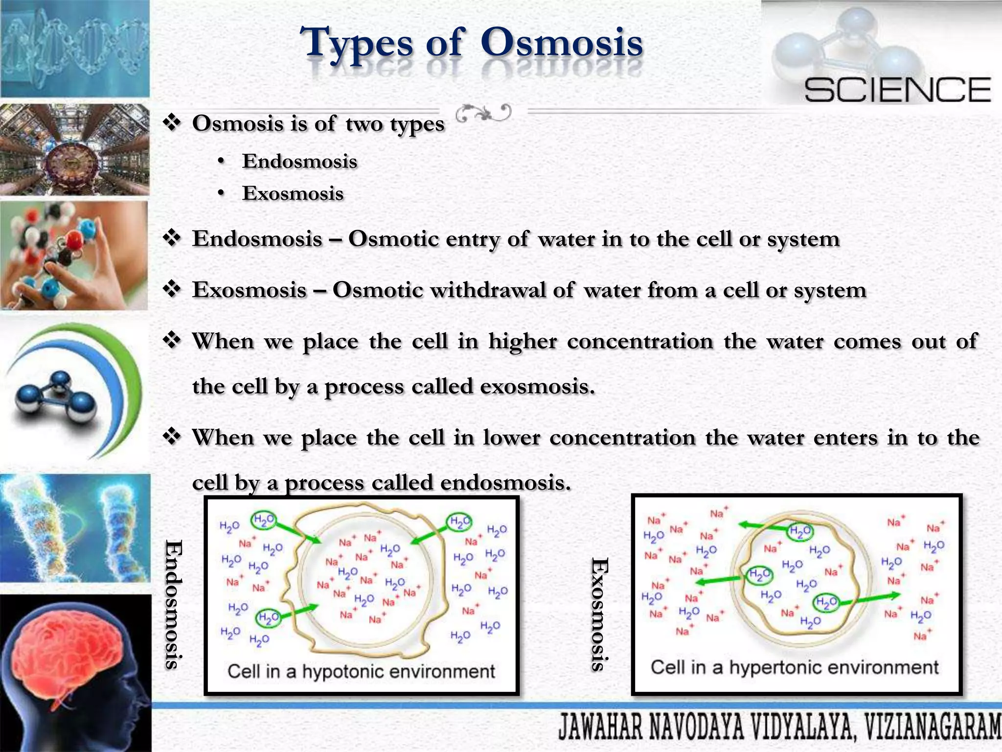 Types of Osmosis
 Osmosis is of two types
• Endosmosis
• Exosmosis

 Endosmosis – Osmotic entry of water in to the cell or system
 Exosmosis – Osmotic withdrawal of water from a cell or system
 When we place the cell in higher concentration the water comes out of
the cell by a process called exosmosis.
 When we place the cell in lower concentration the water enters in to the
cell by a process called endosmosis.
Exosmosis

Endosmosis

 
