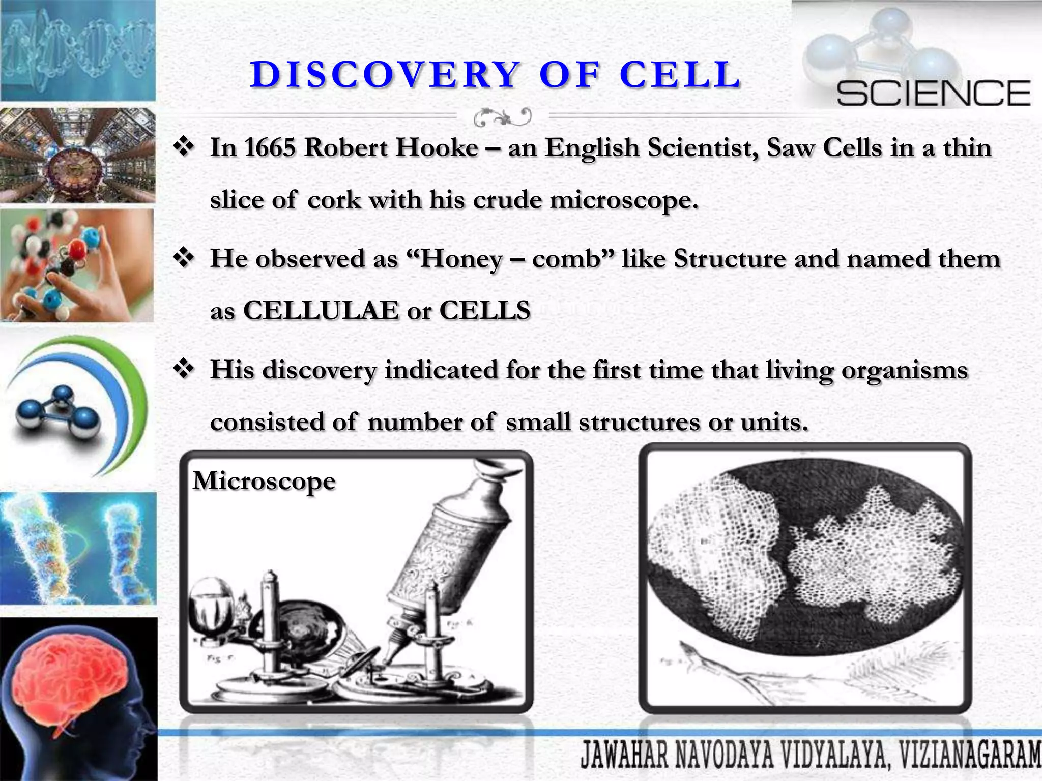 D I S C OV E RY O F C E L L
 In 1665 Robert Hooke – an English Scientist, Saw Cells in a thin
slice of cork with his crude microscope.
 He observed as “Honey – comb” like Structure and named them
as CELLULAE or CELLS
 His discovery indicated for the first time that living organisms
consisted of number of small structures or units.
Microscope

 