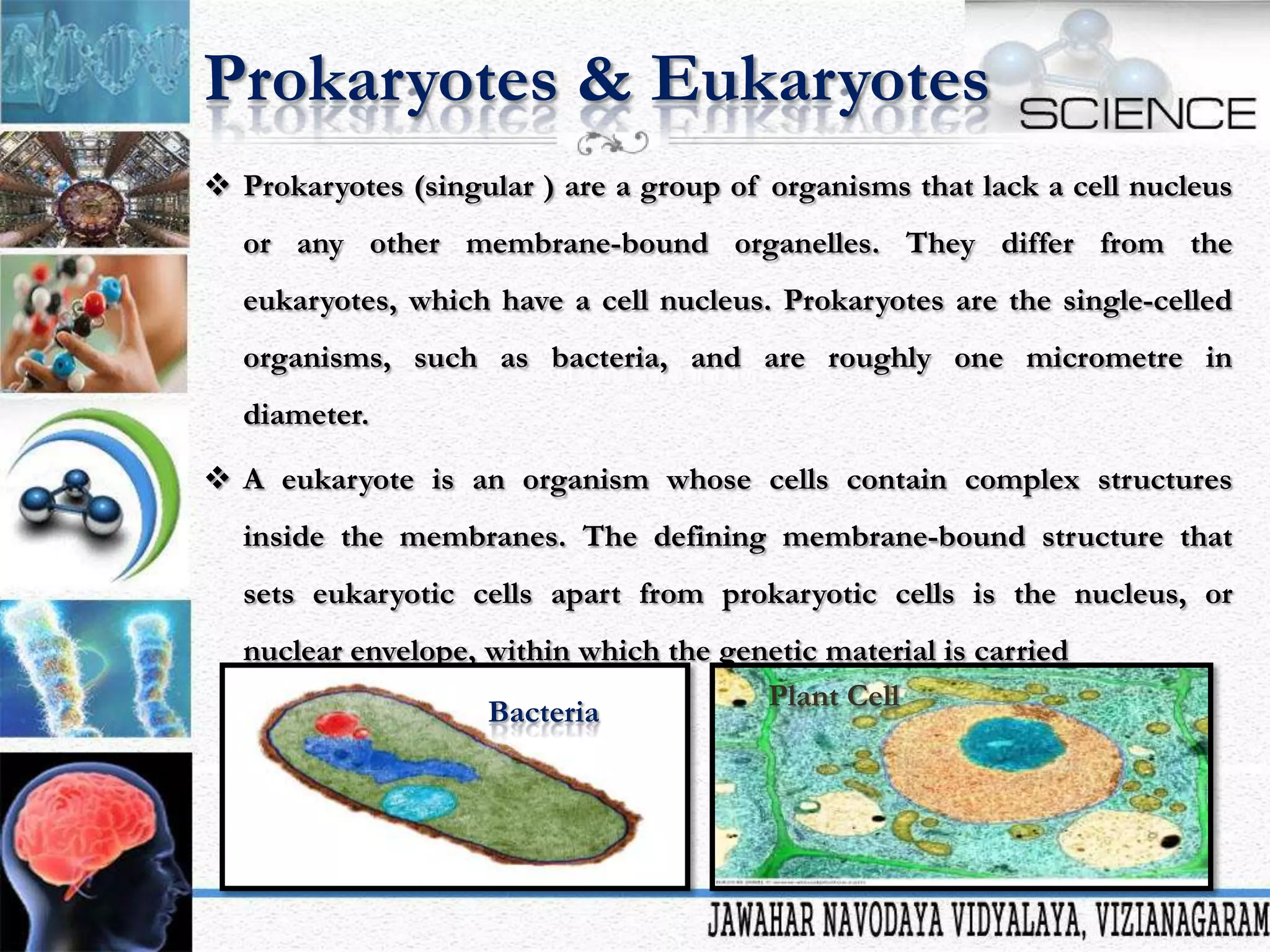 Prokaryotes & Eukaryotes
 Prokaryotes (singular ) are a group of organisms that lack a cell nucleus
or any other membrane-bound organelles. They differ from the
eukaryotes, which have a cell nucleus. Prokaryotes are the single-celled

organisms, such as bacteria, and are roughly one micrometre in
diameter.
 A eukaryote is an organism whose cells contain complex structures
inside the membranes. The defining membrane-bound structure that

sets eukaryotic cells apart from prokaryotic cells is the nucleus, or
nuclear envelope, within which the genetic material is carried
Plant Cell
Bacteria

 