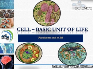 CELL – BASIC UNIT OF LIFE

 