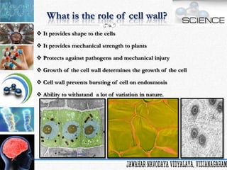 Cell is the Basic Unit of Life | PPTX