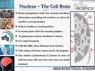 Cell is the Basic Unit of Life | PPTX
