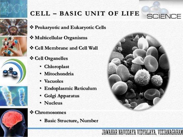 basic unit of life
