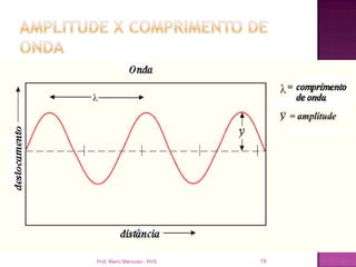 Prof. Mario Mancuso - RVS   19
 