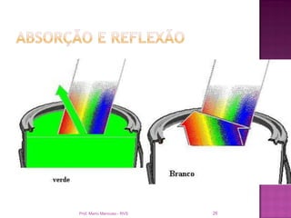 Prof. Mario Mancuso - RVS   26
 