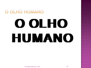 O OLHO
HUMANO

 Prof. Mario Mancuso - RVS   70
 