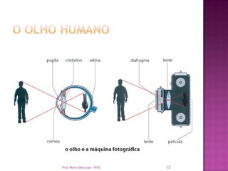 Prof. Mario Mancuso - RVS   72
 