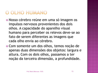  Nosso  cérebro reúne em uma só imagem os
  impulsos nervosos provenientes dos dois
  olhos. A capacidade do aparelho visual
  humano para perceber os relevos deve-se ao
  fato de serem diferentes as imagens que
  cada olho envia ao cérebro.
 Com somente um dos olhos, temos noção de
  apenas duas dimensões dos objetos: largura e
  altura. Com os dois olhos, passamos a ter
  noção da terceira dimensão, a profundidade.


            Prof. Mario Mancuso - RVS   73
 