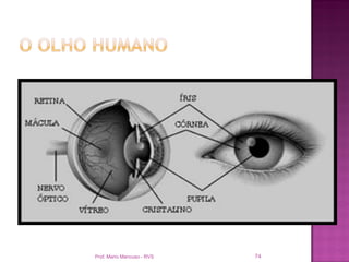 Prof. Mario Mancuso - RVS   74
 