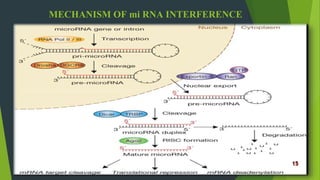 RNA Interference | PPTX