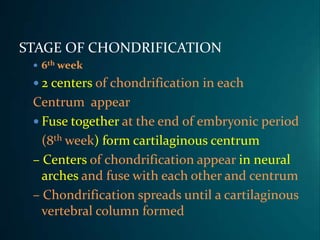 Congenital Anomalies Of Spine And Spinal Cord | PPTX