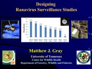 Designing
Ranavirus Surveillance Studies
University of Tennessee
Center for Wildlife Health
Department of Forestry, Wildlife and Fisheries
Matthew J. Gray
 