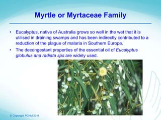 © Copyright PCNM 2011
Myrtle or Myrtaceae Family
• Eucalyptus, native of Australia grows so well in the wet that it is
utilised in draining swamps and has been indirectly contributed to a
reduction of the plague of malaria in Southern Europe.
• The decongestant properties of the essential oil of Eucalyptus
globulus and radiata sps are widely used.
 