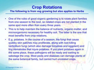 © Copyright PCNM 2011
Crop Rotations
The following is from veg growing but also applies to Herbs
• One of the rules of good organic gardening is to rotate plant families
from one season to the next, so related crops are not planted in the
same spot more often than every three years.
• This is to help maintain the balance of nutrients, organic matter, and
microorganisms necessary for healthy soil. The latter is the one that
most benefits from crop rotations.
• E.g. potatoes. In the course of a season, the fungi that cause
scabby skin patches may proliferate, along with root-killing
verticillium fungi (which also damage tomatoes and eggplant) and
tiny nematodes that injure potatoes. If you plant potatoes again in
the same place, these pathogens will be ready and waiting to
sabotage the crop. Most pests and diseases can damage plants of
the same botanical family, but cannot hurt unrelated crops.
 