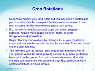 © Copyright PCNM 2011
Crop Rotations
• Depending on how your land is laid out you may need a customized
plan that relocates the main plant families from one season to the
next as some families require more space than others.
• E.g. tomato-family (Solanaceae) crops (tomatoes, peppers,
potatoes) require more space; spinach, chard, or beets
(Polygonaceae) require less.
• Begin planning your rotations by making a list of your must-have
crops and how much space is required by each one. Then sort them
into the plant families.
• You may also wish to identify “crop sequences” that work well in
your garden within the same growing season. E.g. many gardeners
have garlic in the ground from autumn to midsummer, after which
the area can be planted with a second crop. E.g. beans in a warm
climate or lettuce in a cold climate.
 