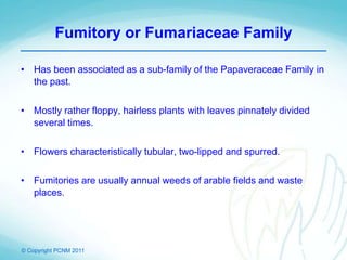 © Copyright PCNM 2011
Fumitory or Fumariaceae Family
• Has been associated as a sub-family of the Papaveraceae Family in
the past.
• Mostly rather floppy, hairless plants with leaves pinnately divided
several times.
• Flowers characteristically tubular, two-lipped and spurred.
• Fumitories are usually annual weeds of arable fields and waste
places.
 