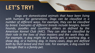 LET’S TRY!
Dogs are domesticated animals that have been living
with humans for generations. Dogs can be classified in a
number of different ways. For example, they can be classified
by breed. Examples of different breeds include beagles, basset
hounds, poodles and countless others as defined by the
American Kennel Club (AKC). They can also be classified by
their role in the lives of their masters and the work they do.
For example, a dog might be a family pet, a working dog, a
show dog, or a hunting dog. In many cases, dogs are defined
both by their breed and their role. For example, a dog could be
a beagle that is a family pet.
 