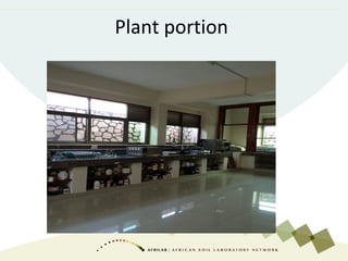 Plant portion
 