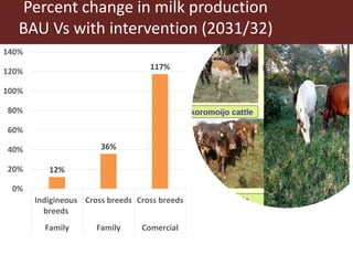 Assessing ex-ante impact of the complementary dairy improvement interventions required to make Rwanda’s existing dairy development programmes and policies even more successful