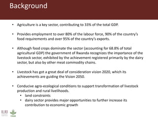 Assessing ex-ante impact of the complementary dairy improvement interventions required to make Rwanda’s existing dairy development programmes and policies even more successful