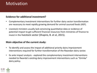 Assessing ex-ante impact of the complementary dairy improvement interventions required to make Rwanda’s existing dairy development programmes and policies even more successful