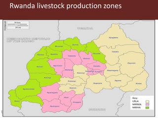 Assessing ex-ante impact of the complementary dairy improvement interventions required to make Rwanda’s existing dairy development programmes and policies even more successful