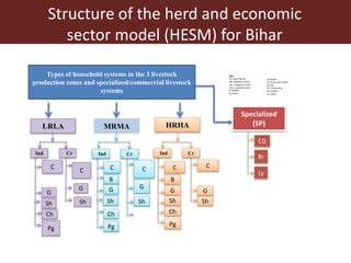 Assessing ex-ante impact of the complementary dairy improvement interventions required to make Rwanda’s existing dairy development programmes and policies even more successful