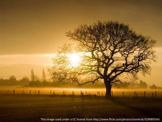 This image used under a CC license from http://www.flickr.com/photos/sovietuk/329989564/
 