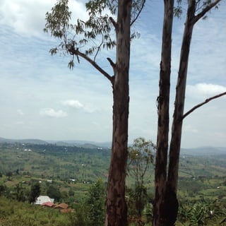 Rwanda photos