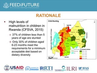 Enhancing milk quality and consumption for improved income and nutrition in Rwanda: January 2017 – December 2019