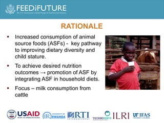 Enhancing milk quality and consumption for improved income and nutrition in Rwanda: January 2017 – December 2019