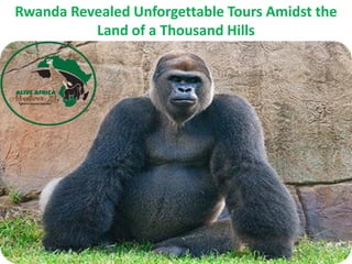 Rwanda Revealed Unforgettable Tours Amidst the
Land of a Thousand Hills
 