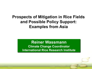 Prospects of Mitigation in Rice Fields
and Possible Policy Support:
Examples from Asia

Reiner Wassmann
Climate Change Coordinator
International Rice Research Institute

 