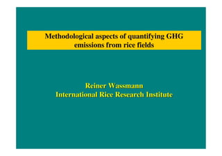 Methodological aspects of quantifying GHG 
emissions from rice fields 
Reiiner Wassmann 
Internatiionall Riice Research Instiitute 
 