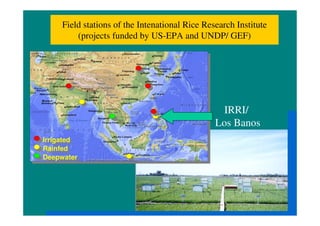 R Wassman quantification of ghg emissions from rice july 2010