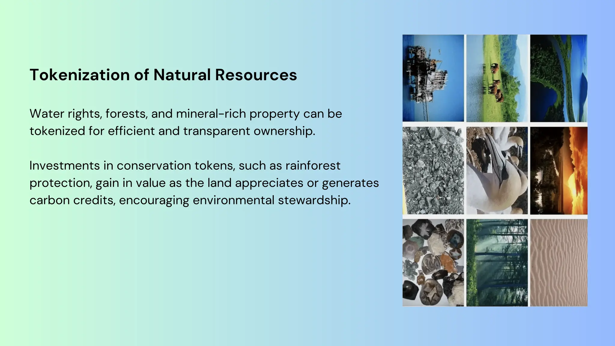 Tokenization of Natural Resources
Water rights, forests, and mineral-rich property can be
tokenized for efficient and transparent ownership.
Investments in conservation tokens, such as rainforest
protection, gain in value as the land appreciates or generates
carbon credits, encouraging environmental stewardship.
 