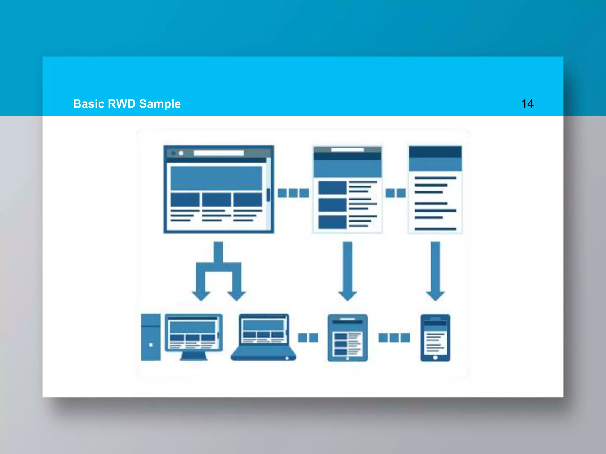 Basic RWD Sample 14
 