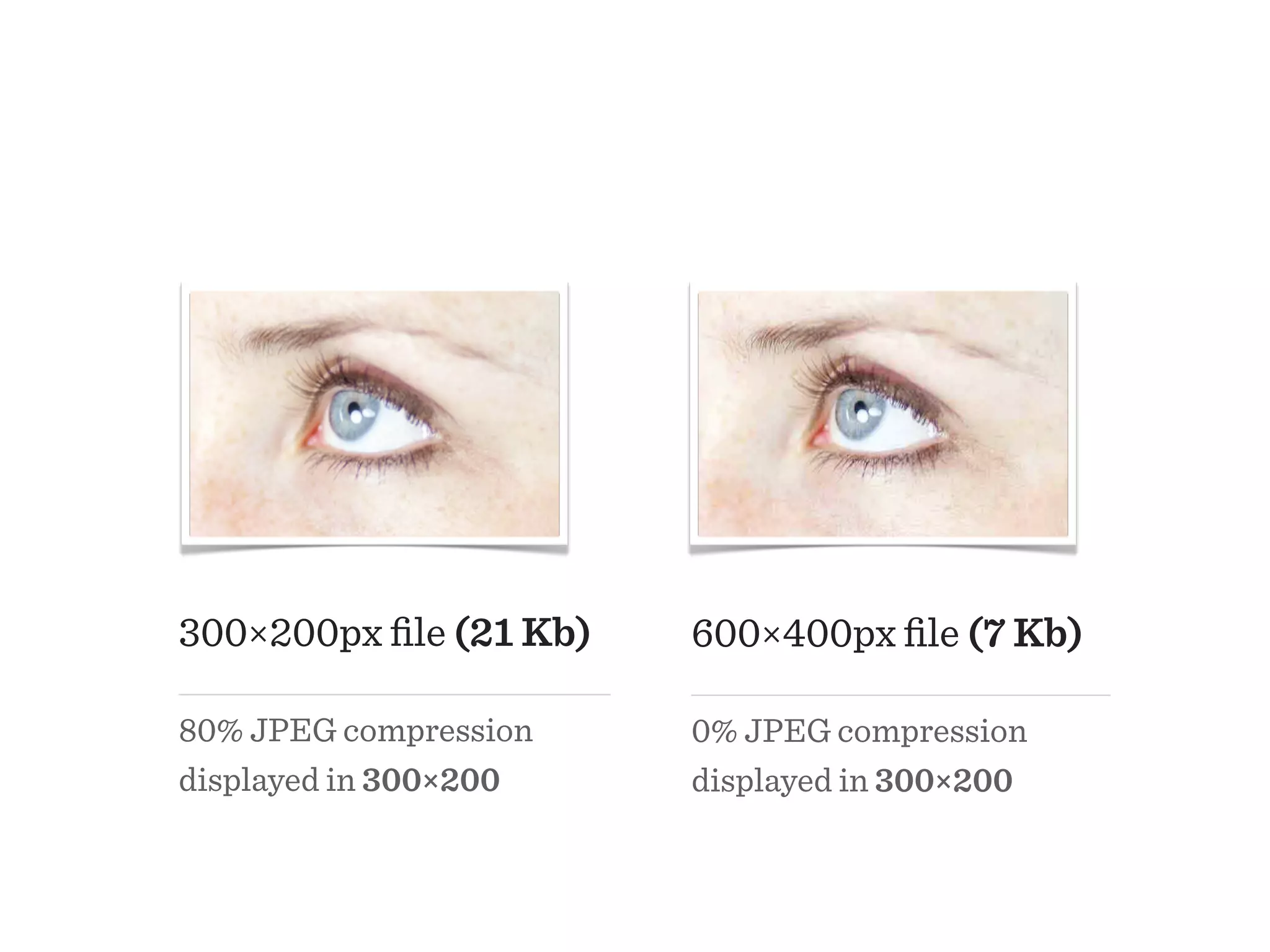 300×200px ﬁle (21 Kb)               600×400px ﬁle (7 Kb)
_________________________________   ________________________________
80% JPEG compression                0% JPEG compression
displayed in 300×200                displayed in 300×200
 