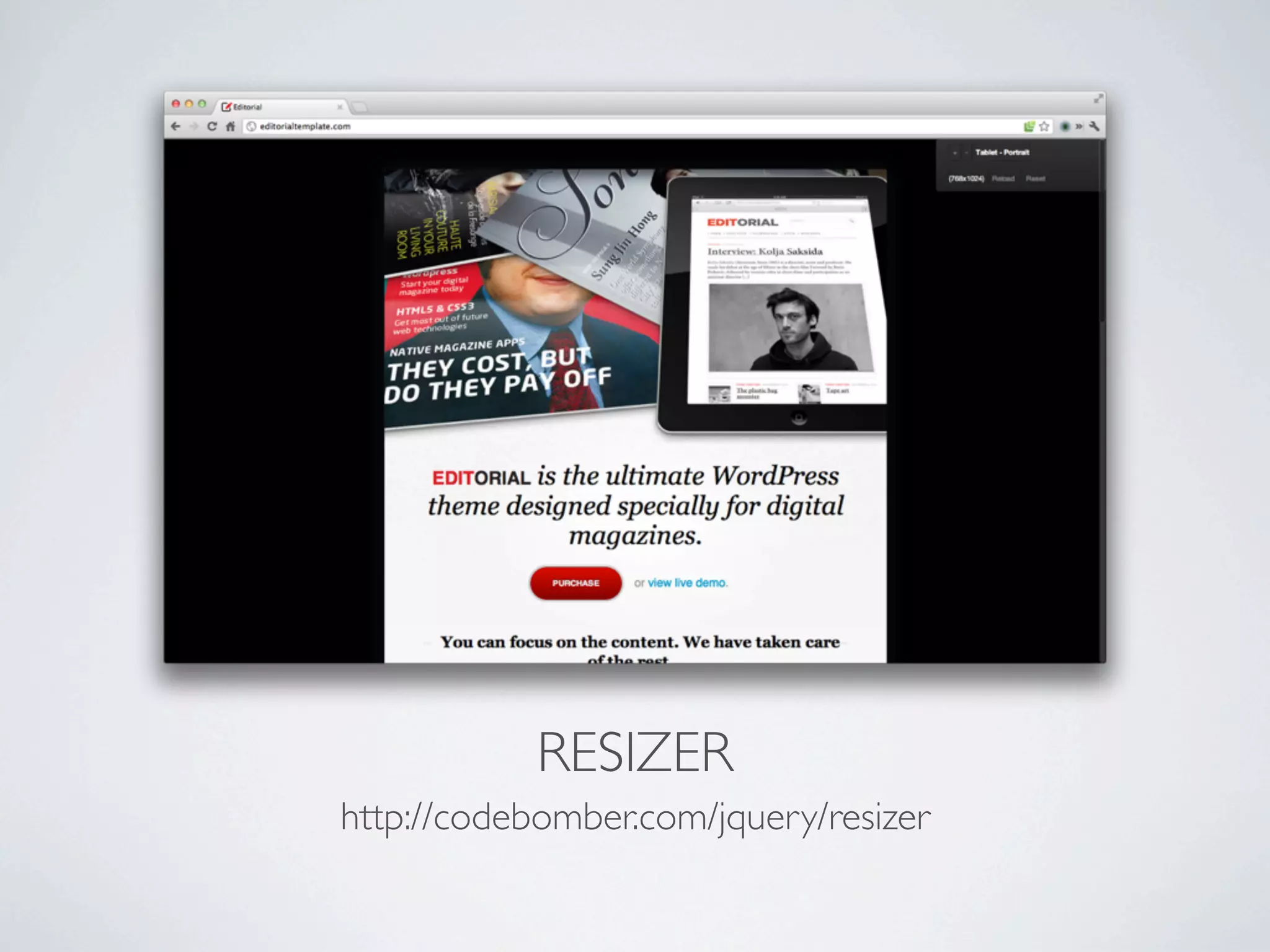 RESIZER
http://codebomber.com/jquery/resizer
 