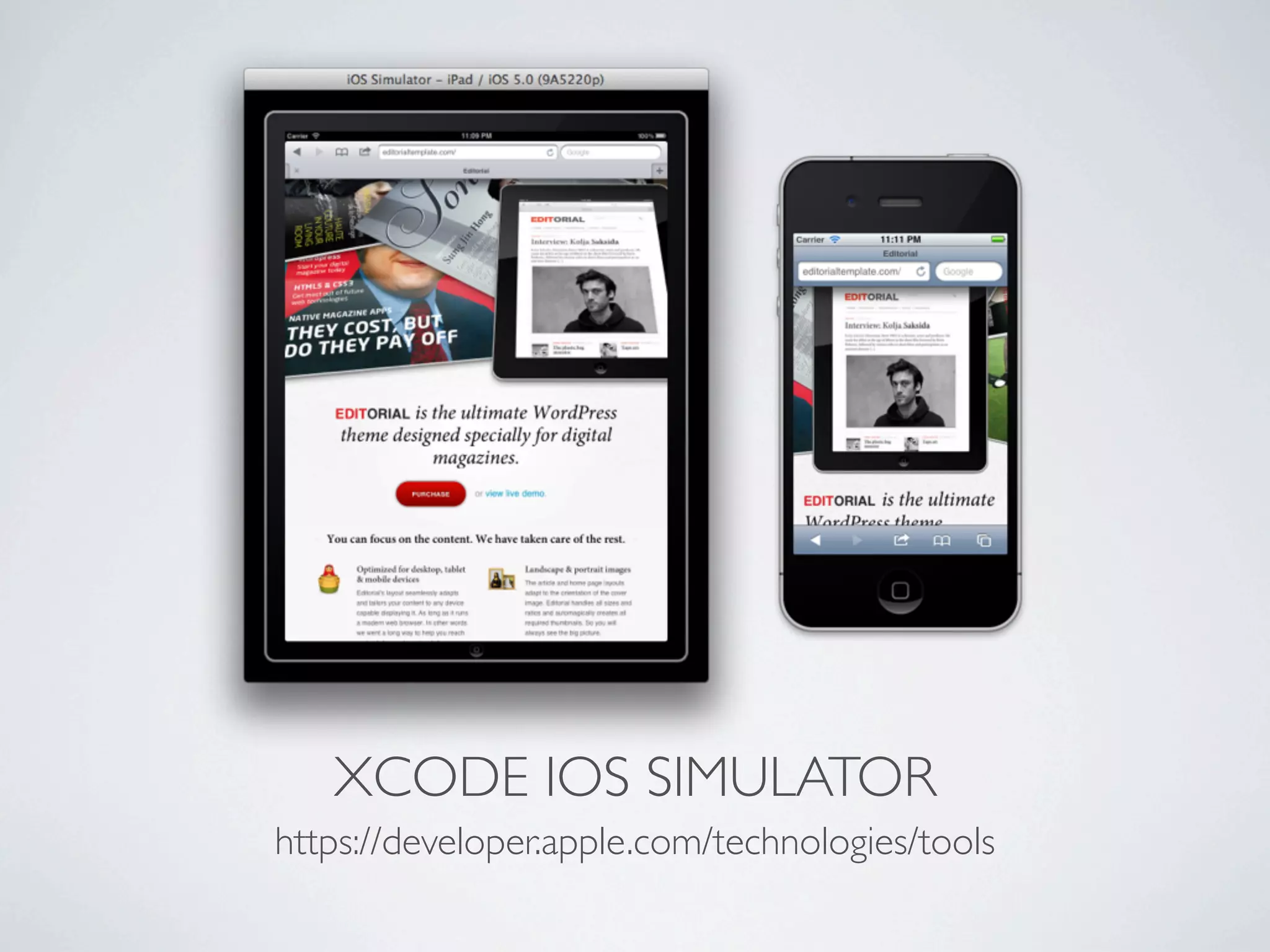 XCODE IOS SIMULATOR
https://developer.apple.com/technologies/tools
 
