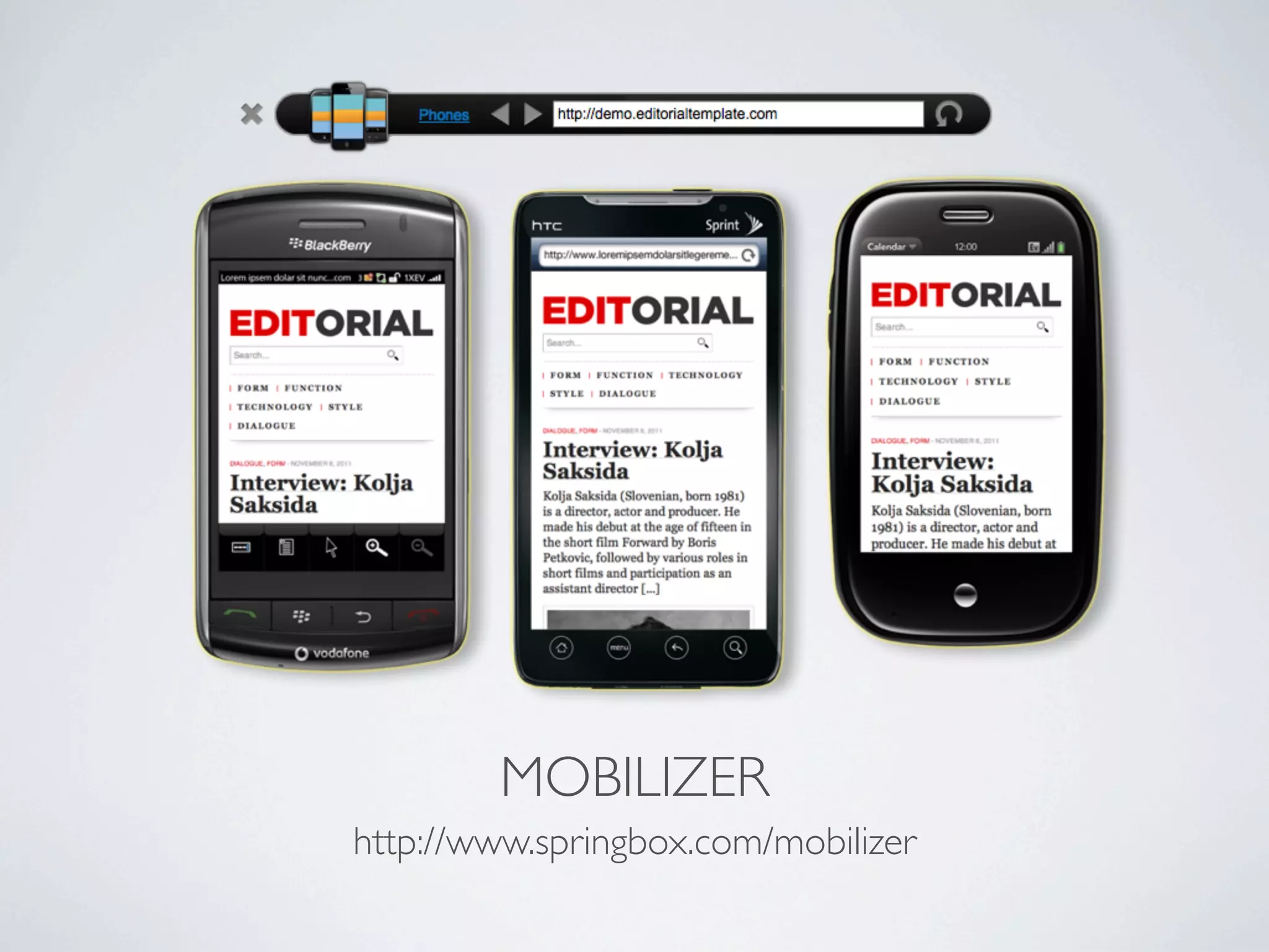 MOBILIZER
http://www.springbox.com/mobilizer
 