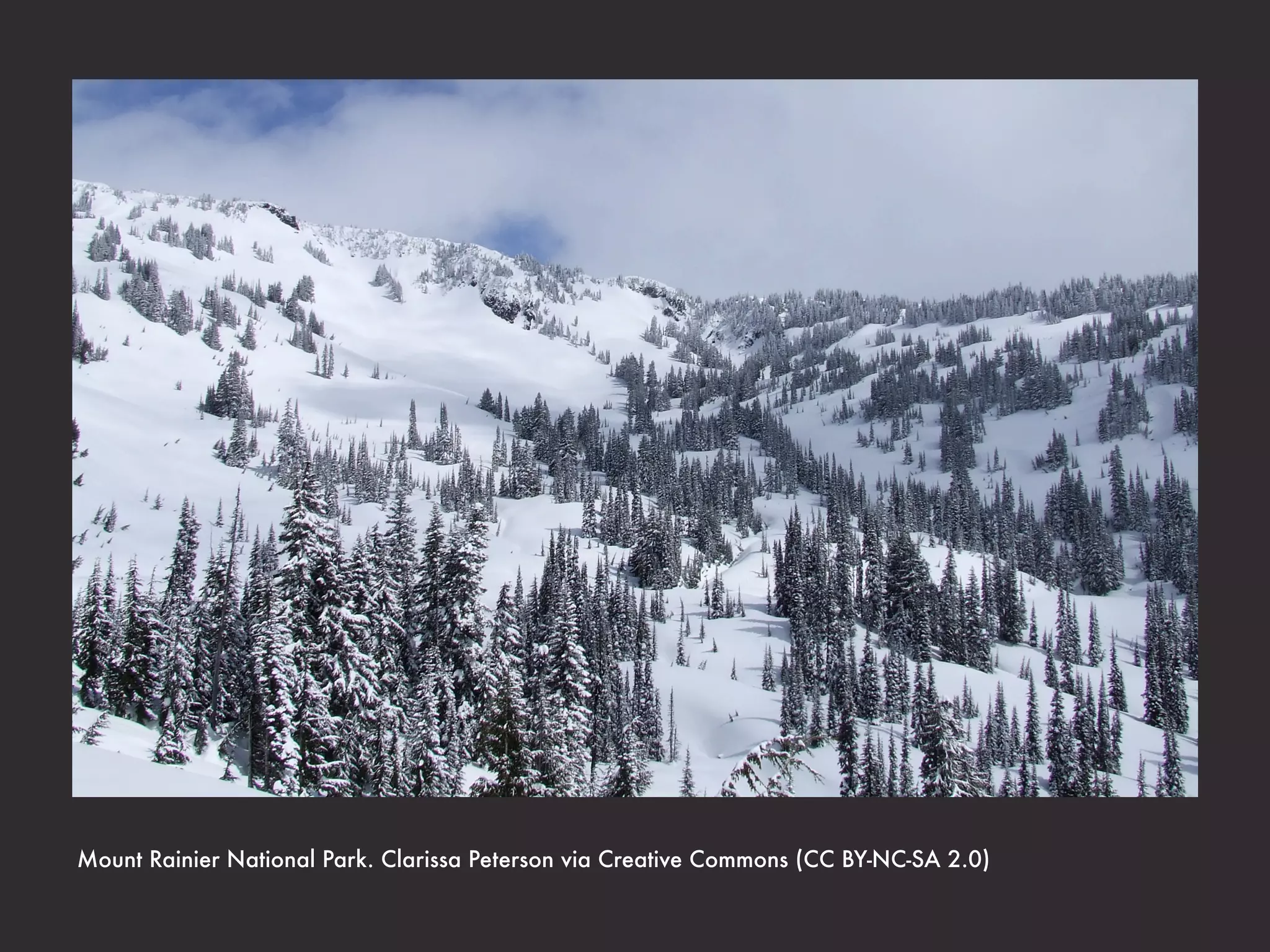 Thank You


 Clarissa Peterson
clarissapeterson.com
cp@clarissapeterson.com
       @clarissa
 