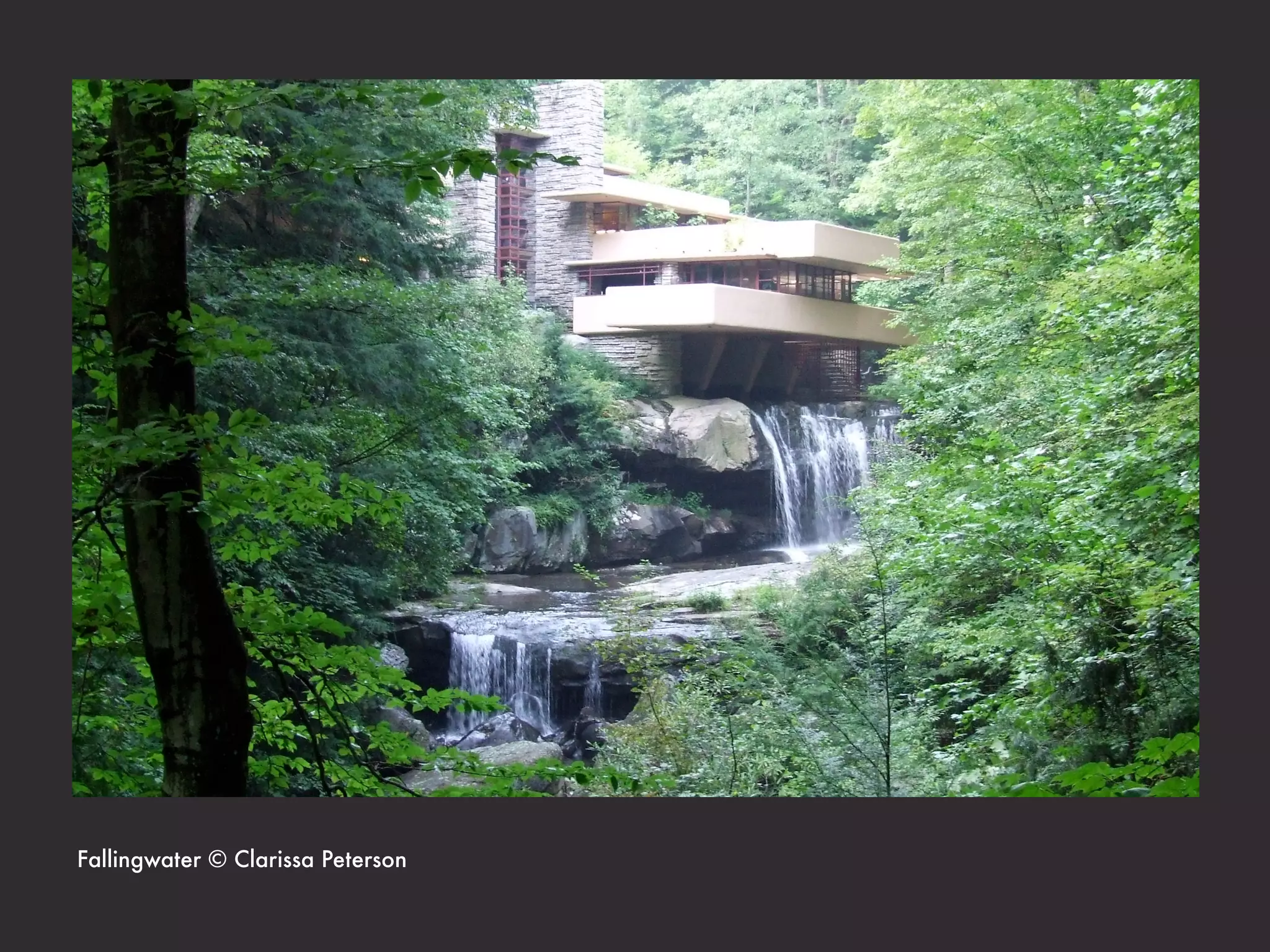 Fallingwater © Clarissa Peterson
 
